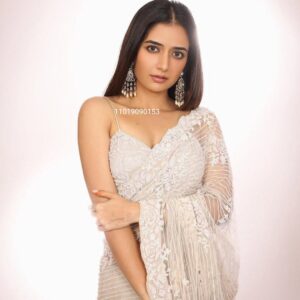 Butterfly Soft Net Sequin Saree