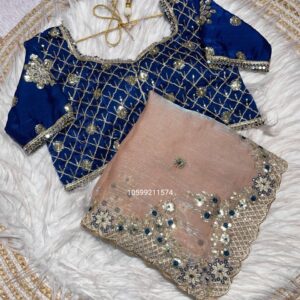 Ethereal Charm – Fendy Chiffon Two Tone Saree