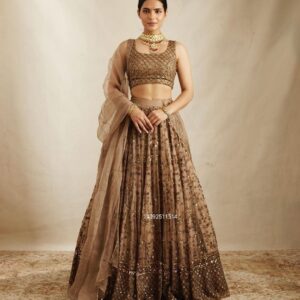 Celestial Spark – Premium Net Lehenga Set